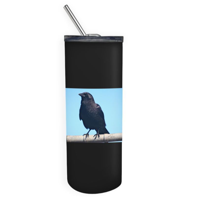 Curiosity And The Crow Skinny Tumbler | Artistshot