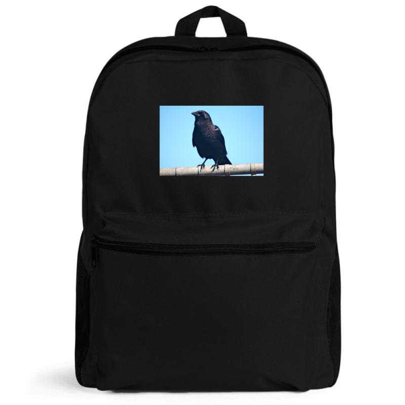 Curiosity And The Crow Backpack | Artistshot