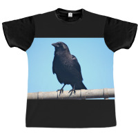 Curiosity And The Crow Graphic T-shirt | Artistshot