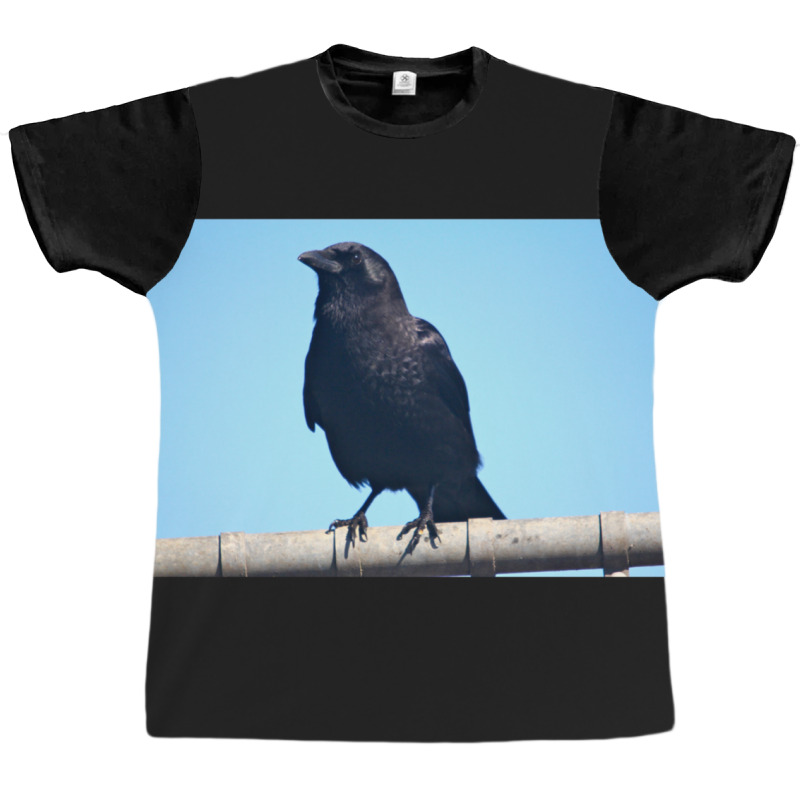 Curiosity And The Crow Graphic T-shirt | Artistshot