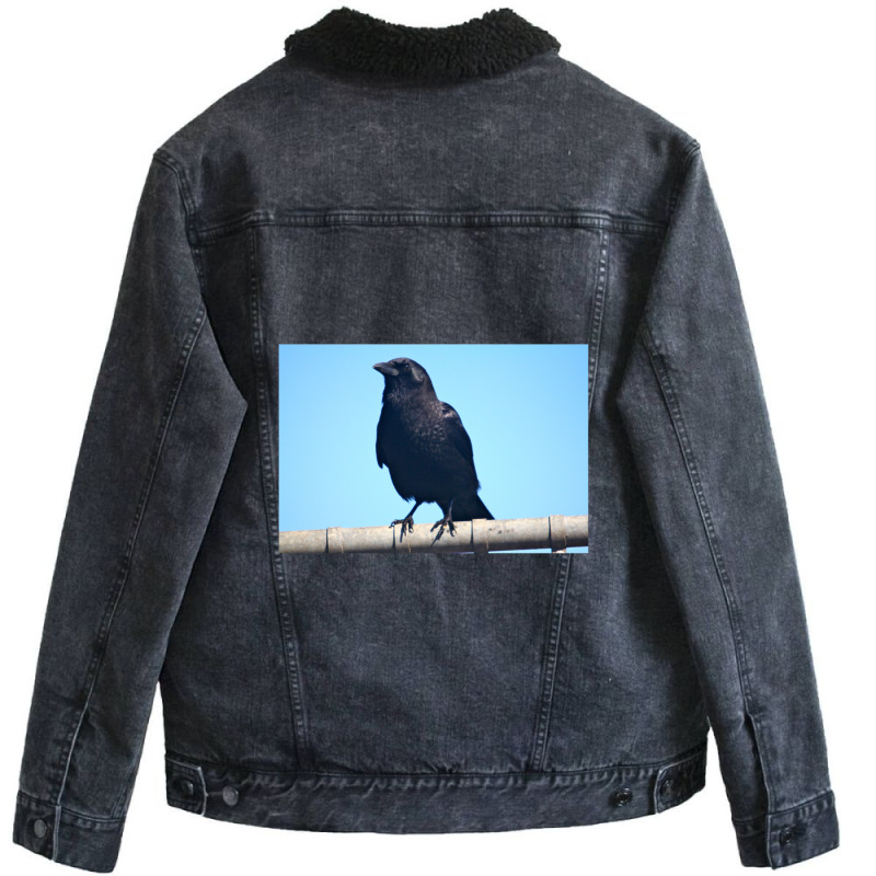 Curiosity And The Crow Unisex Sherpa-lined Denim Jacket | Artistshot