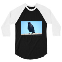 Curiosity And The Crow 3/4 Sleeve Shirt | Artistshot