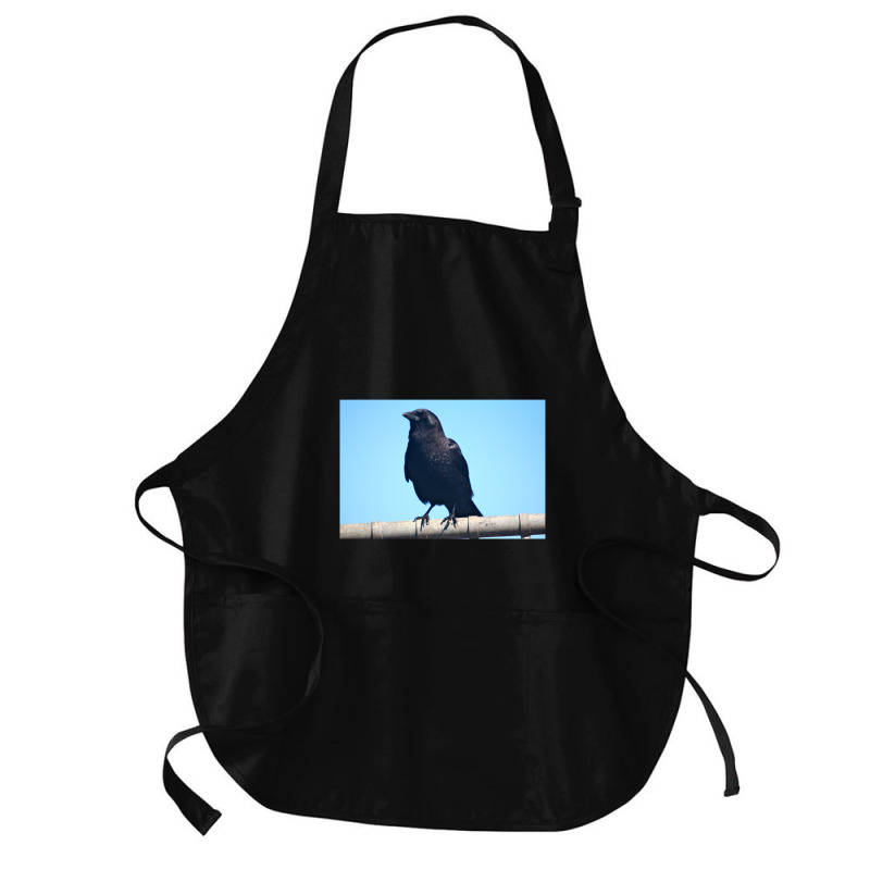 Curiosity And The Crow Medium-length Apron | Artistshot