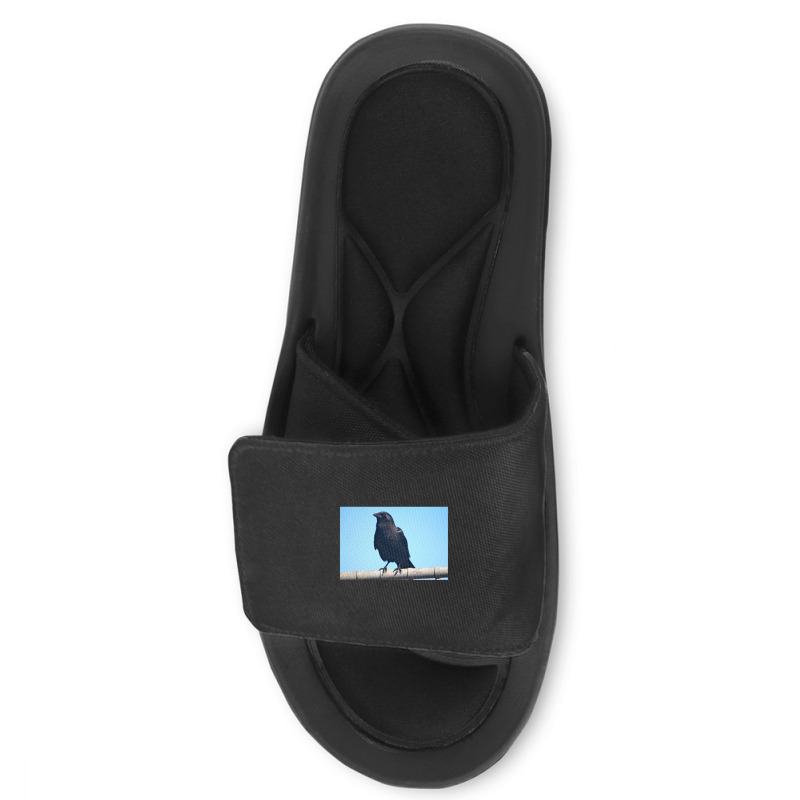 Curiosity And The Crow Slide Sandal | Artistshot