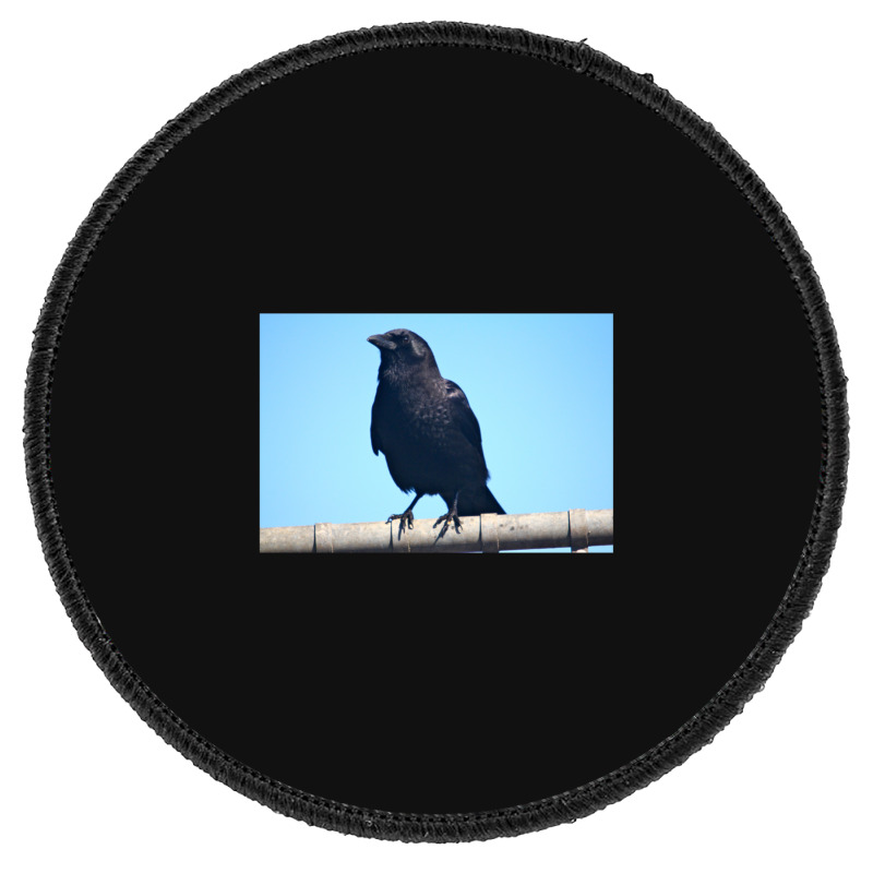 Curiosity And The Crow Round Patch | Artistshot