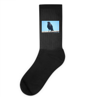 Curiosity And The Crow Socks | Artistshot