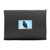 Curiosity And The Crow Accessory Pouches | Artistshot