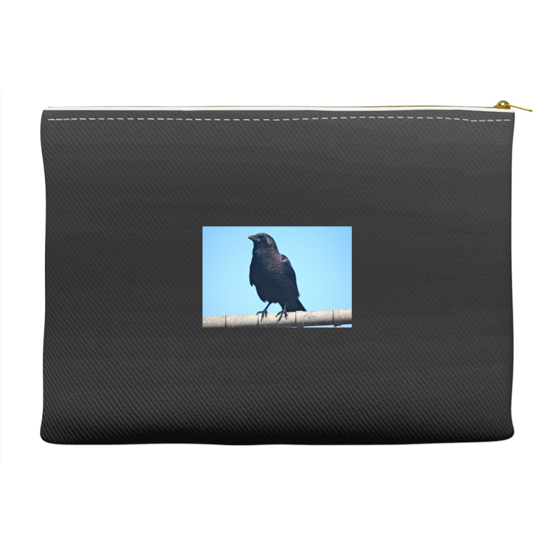 Curiosity And The Crow Accessory Pouches | Artistshot