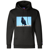 Curiosity And The Crow Champion Hoodie | Artistshot