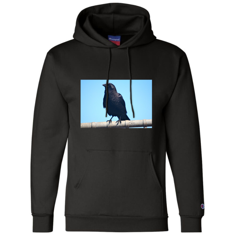 Curiosity And The Crow Champion Hoodie | Artistshot