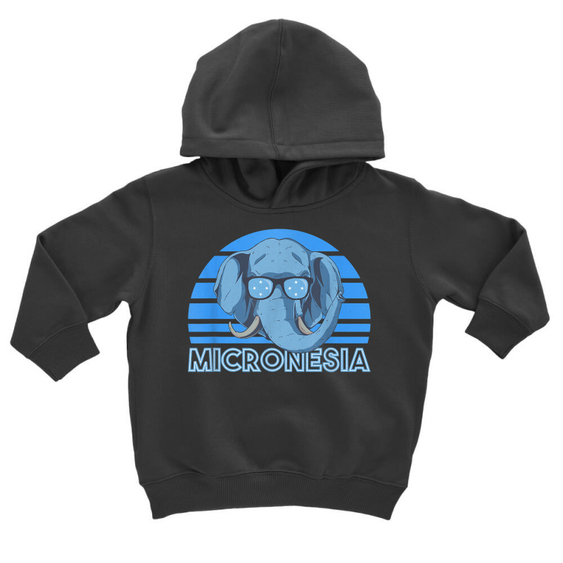 Micronesia T Shirt Toddler Hoodie by kylrahal8pot | Artistshot