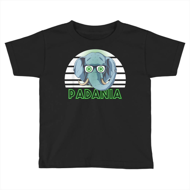 Padania T Shirt Toddler T-shirt by xq8pjbeamer | Artistshot