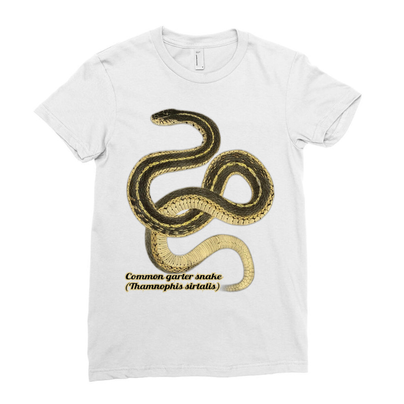 Garter Snakes Thamnophis Sirtalis T Shirt Ladies Fitted T-Shirt by kleebbi | Artistshot