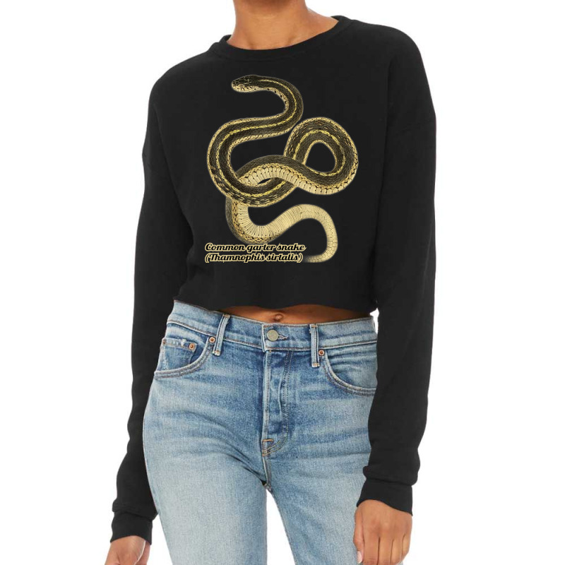 Garter Snakes Thamnophis Sirtalis T Shirt Cropped Sweater by kleebbi | Artistshot