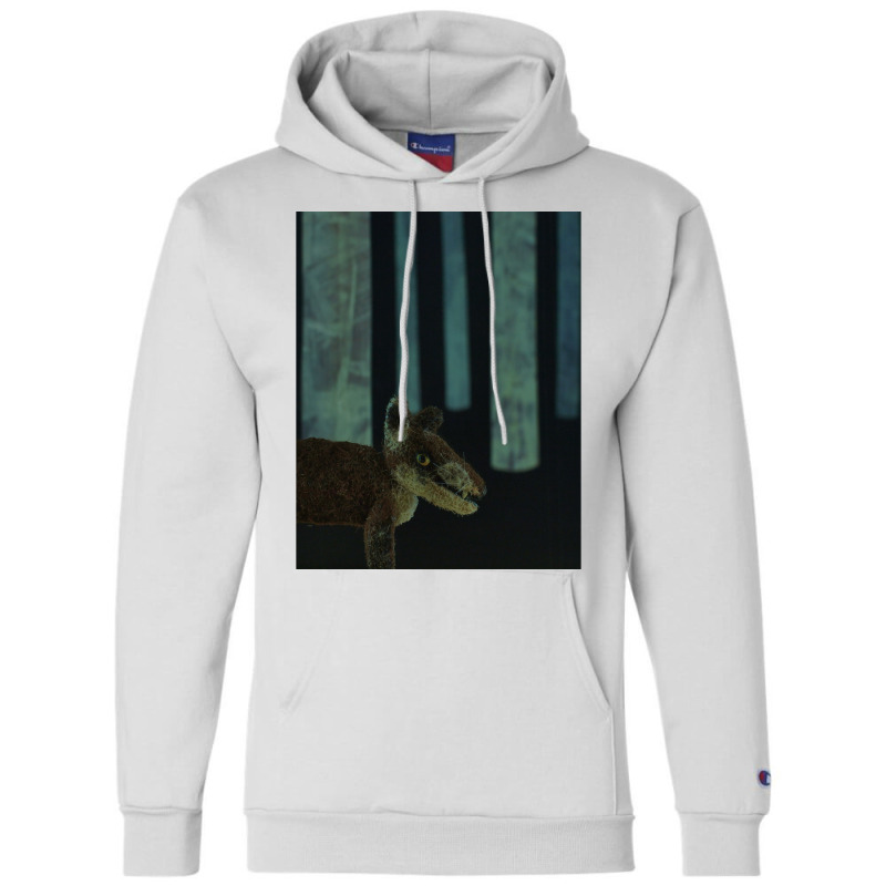 Fox Classic Cute Boy Champion Hoodie by azawadfedinx | Artistshot