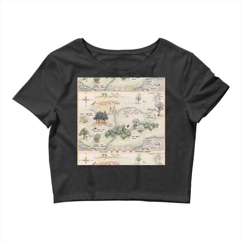 Hundred Acre Wood Map Poster 80s Crop Top by msdratdzaljaf | Artistshot