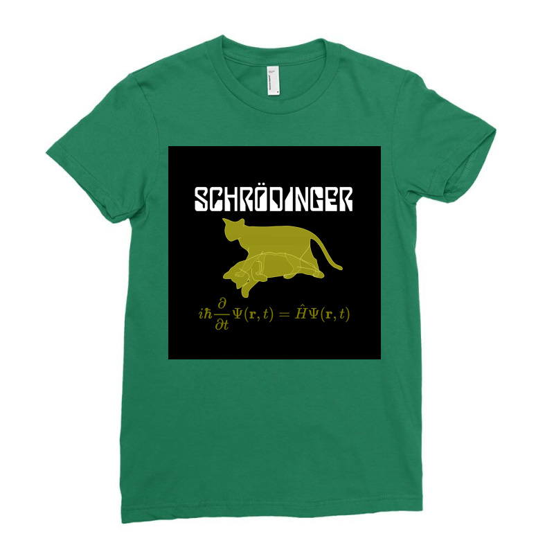 Of Schrodinger Equation Poster Ladies Fitted T-Shirt by lantesshems8 | Artistshot