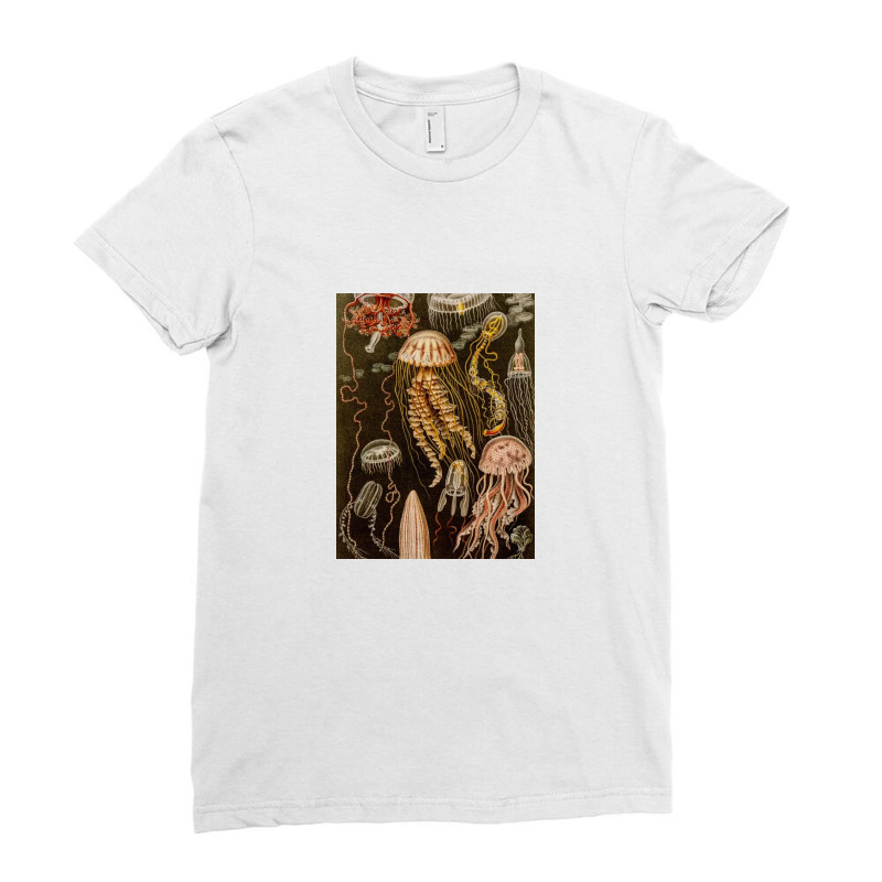 Jellyfish Antique Jelly Fish Ladies Fitted T-Shirt by gloriahill | Artistshot