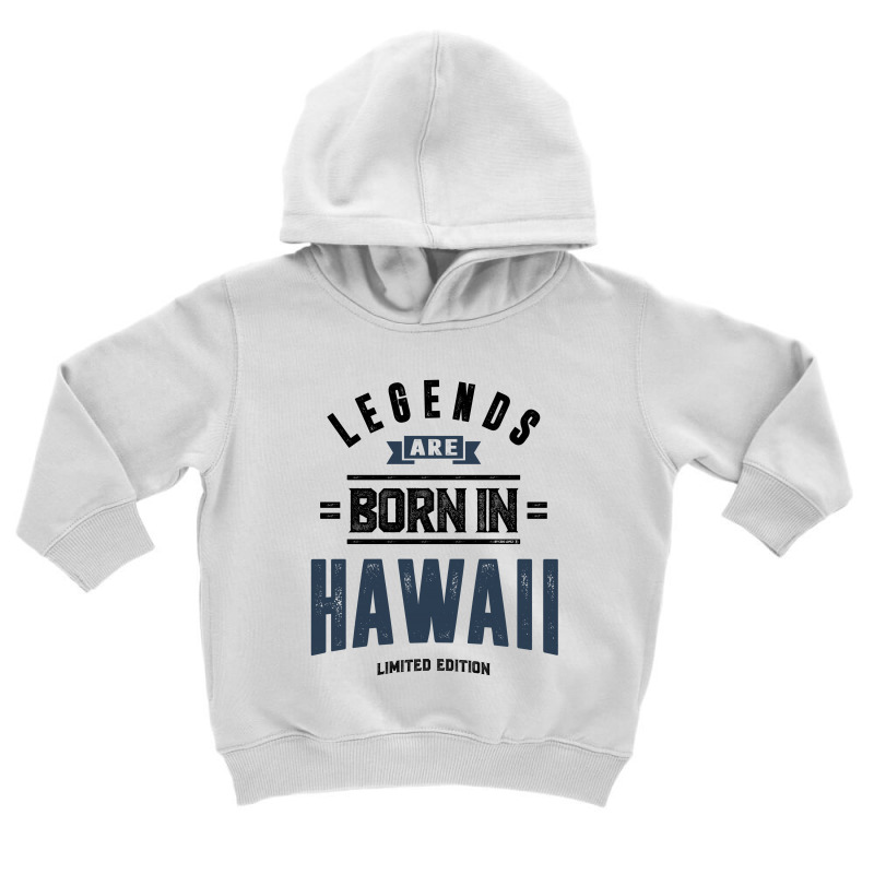 Hawaii Toddler Hoodie by Chris Ceconello | Artistshot