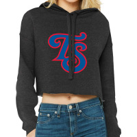 Tennessee Smokies Cropped Hoodie | Artistshot