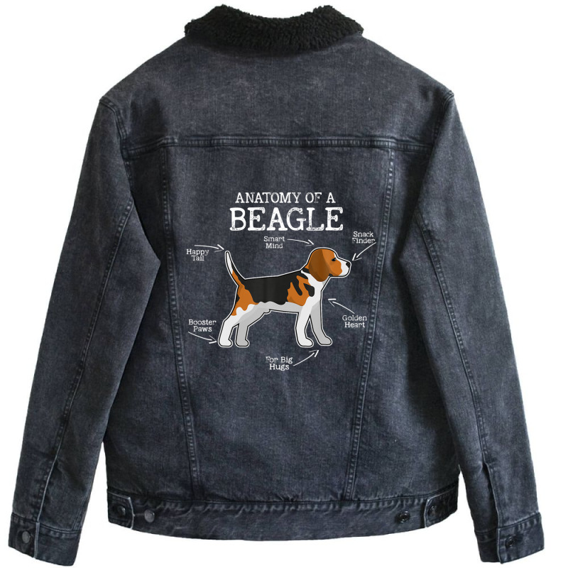 Beagle Lovers Dog Mom Funny Anatomy Of A Beagle Unisex Sherpa-Lined Denim Jacket by winatadeepood | Artistshot