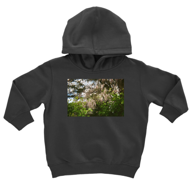 Granite Belt Flowers On 35mm Film 2 Toddler Hoodie | Artistshot