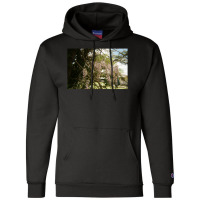 Granite Belt On 35mm Film Champion Hoodie | Artistshot