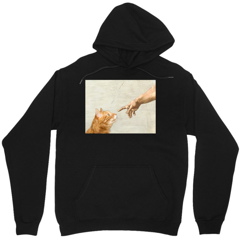 Indie Aesthetic Michaelangelo Creation Cat Art Cute Y2k 90s   Cute Ora Unisex Hoodie | Artistshot