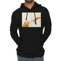 Indie Aesthetic Michaelangelo Creation Cat Art Cute Y2k 90s   Cute Ora Lightweight Hoodie | Artistshot