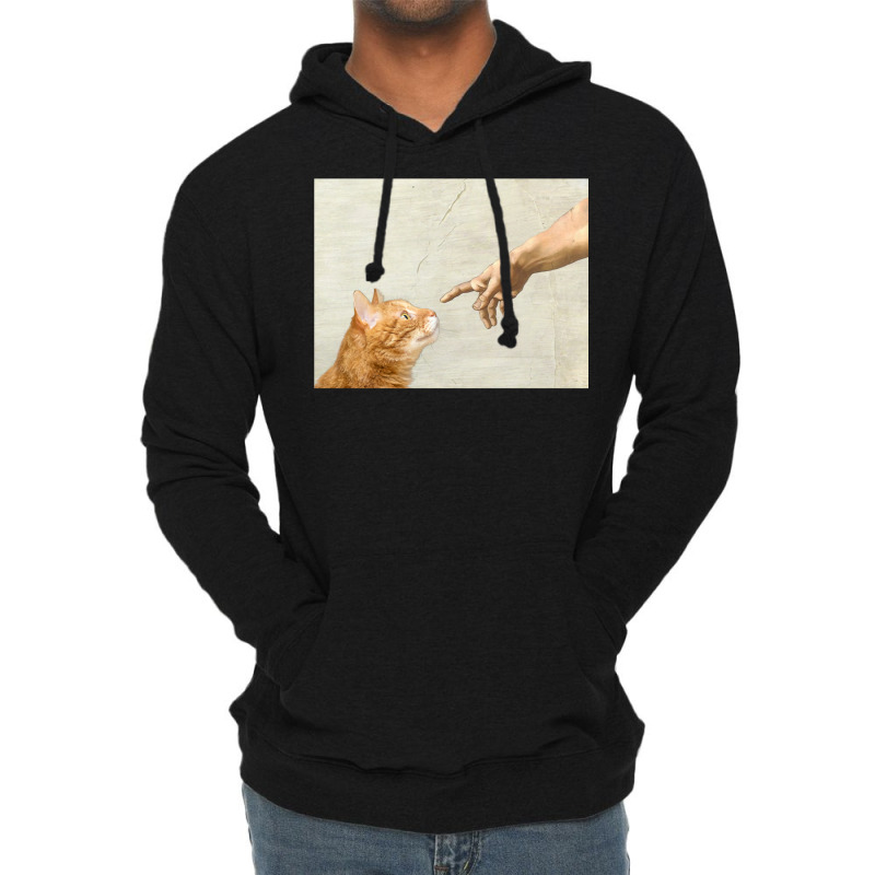 Indie Aesthetic Michaelangelo Creation Cat Art Cute Y2k 90s   Cute Ora Lightweight Hoodie | Artistshot