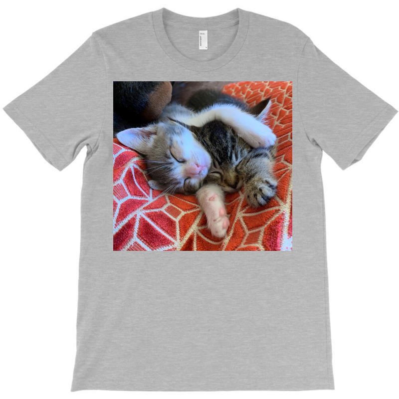 Kitten Snuggle Session Poster Girl T-shirt | Artistshot