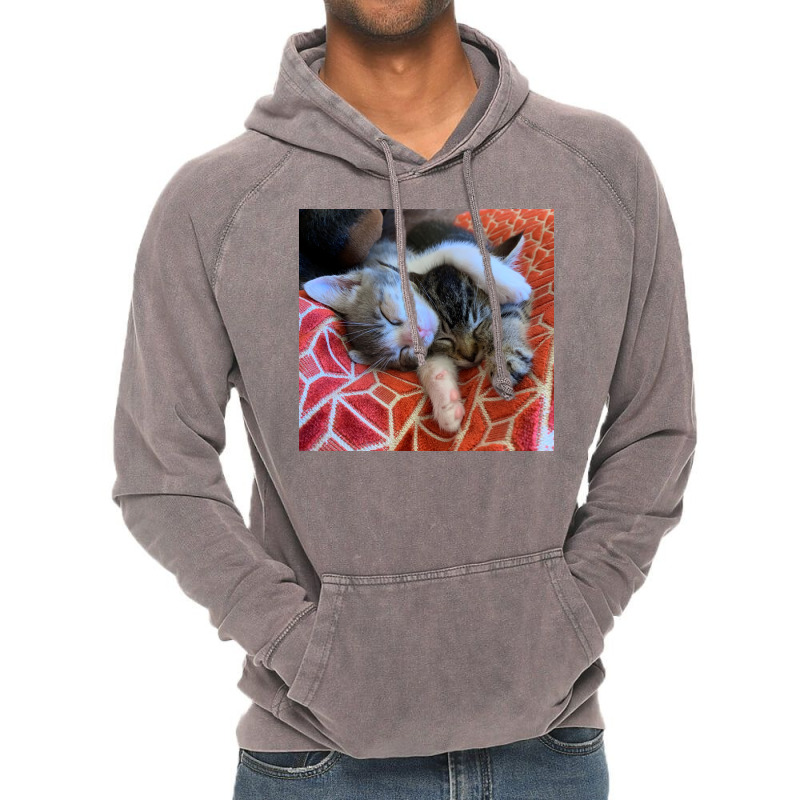 Kitten Snuggle Session Poster Girl Vintage Hoodie | Artistshot