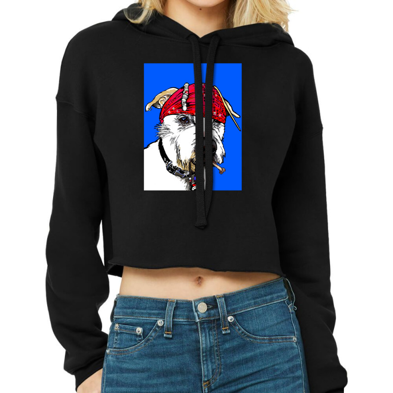 Pirates Of The Pandemic Cropped Hoodie | Artistshot