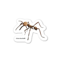 Soldier Ant T Shirt Sticker | Artistshot