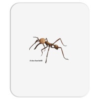 Soldier Ant T Shirt Mousepad | Artistshot