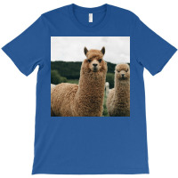 Cute Alpaca Poster 70s T-shirt | Artistshot