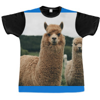 Cute Alpaca Poster 70s Graphic T-shirt | Artistshot