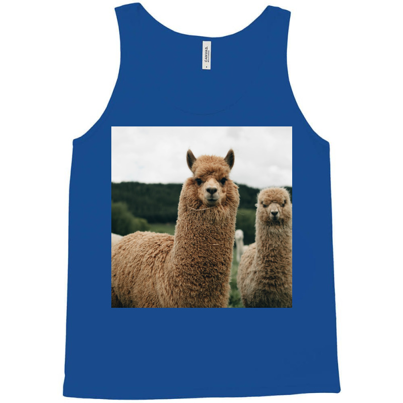 Cute Alpaca Poster 70s Tank Top | Artistshot