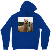 Cute Alpaca Poster 70s Unisex Hoodie | Artistshot