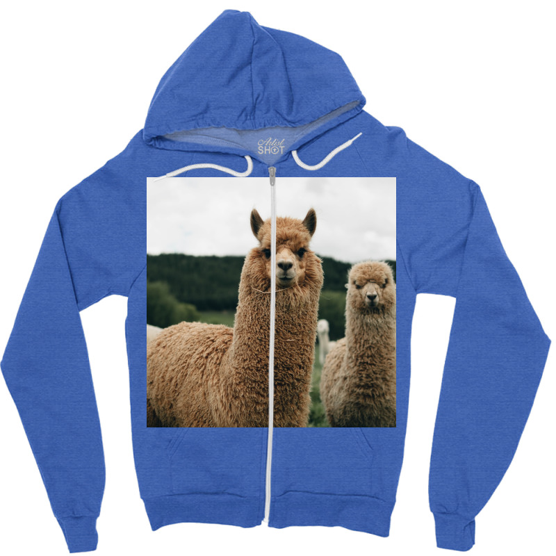 Cute Alpaca Poster 70s Zipper Hoodie | Artistshot