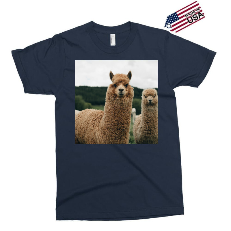 Cute Alpaca Poster 70s Exclusive T-shirt | Artistshot