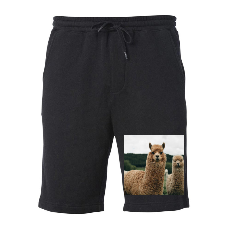 Cute Alpaca Poster 70s Fleece Short | Artistshot