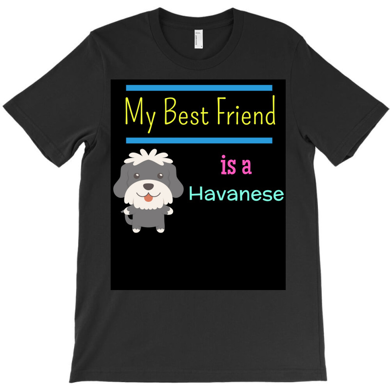 My Best Friend Is A Havanese Poster Funny Gift T-shirt | Artistshot