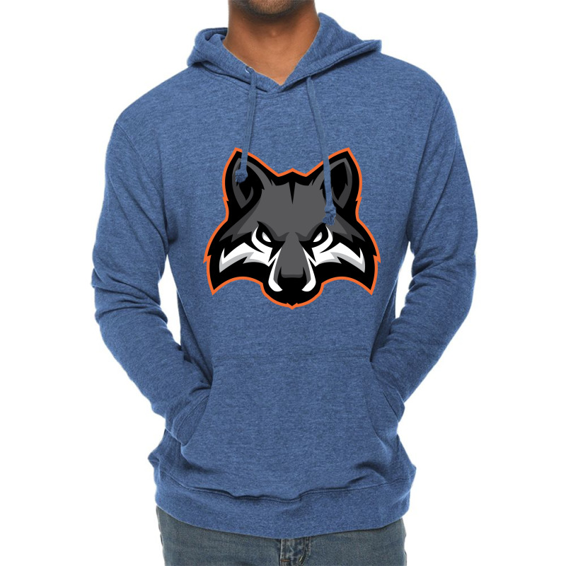 Delaware Lightweight Hoodie | Artistshot