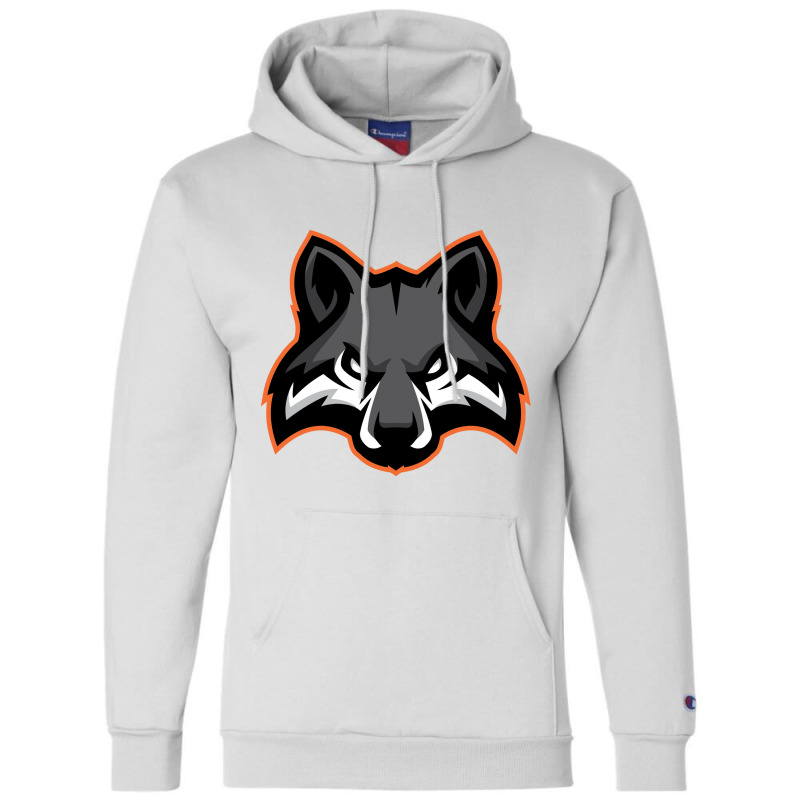 Delaware Champion Hoodie | Artistshot