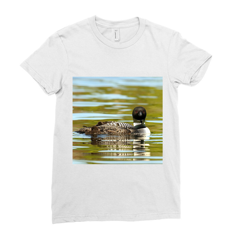 Loon On The Water 1 Ladies Fitted T-Shirt by leminh | Artistshot