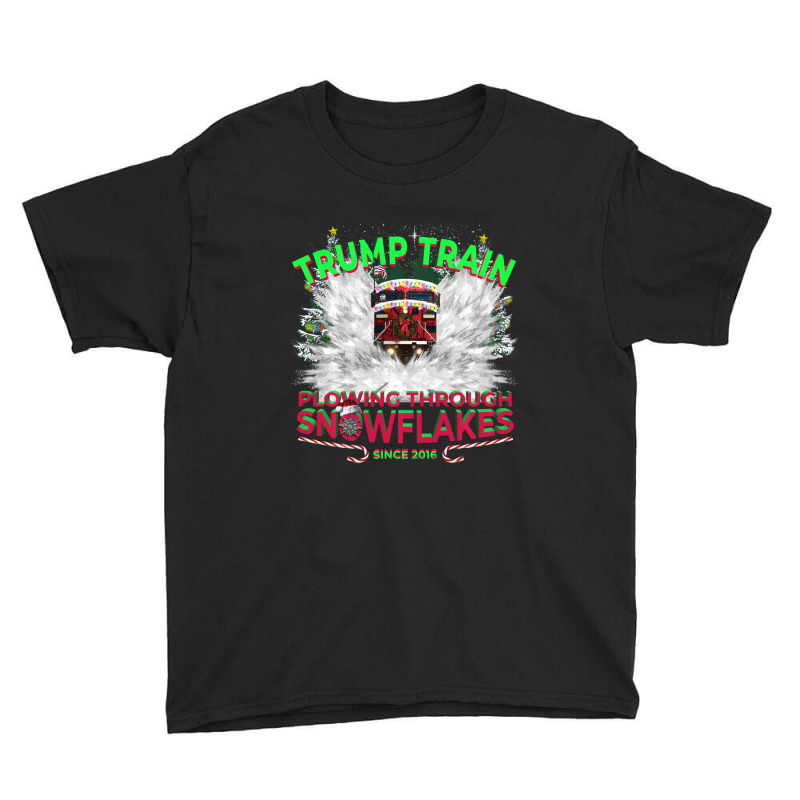 Trending Plow Snowflakes This Christmas & Don A Maga Trump Train 2024 Youth Tee by yumgaugeteuda | Artistshot