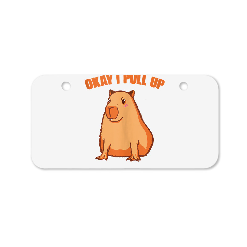 Okay I Pull Up Capibara Wildlife Animal Funny Capybara Tank Top Bicycle License Plate | Artistshot