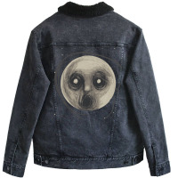 Steven Wilson Raven Unisex Sherpa-lined Denim Jacket | Artistshot