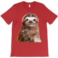 Little Sloth Kids Pullover E T-shirt | Artistshot